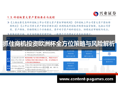 抓住商机投资欧洲杯全方位策略与风险解析 抓住商机投资欧洲杯全方位策略与风险解析