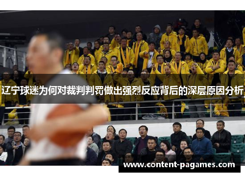 辽宁球迷为何对裁判判罚做出强烈反应背后的深层原因分析 辽宁球迷为何对裁判判罚做出强烈反应背后的深层原因分析