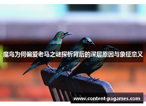 魔鸟为何偏爱老马之谜探析背后的深层原因与象征意义 魔鸟为何偏爱老马之谜探析背后的深层原因与象征意义