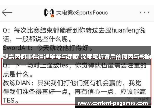魏震因何事件遭遇禁赛与罚款 深度解析背后的原因与影响