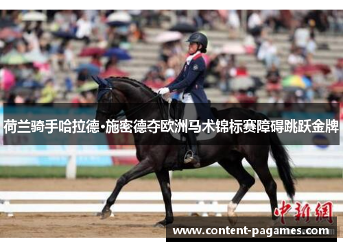 荷兰骑手哈拉德·施密德夺欧洲马术锦标赛障碍跳跃金牌