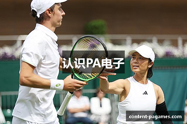 PA电子| PA电子官网「PA试玩游戏」官方平台网站